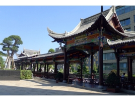 楊俊平項目展示（國際生態(tài)會議中心）